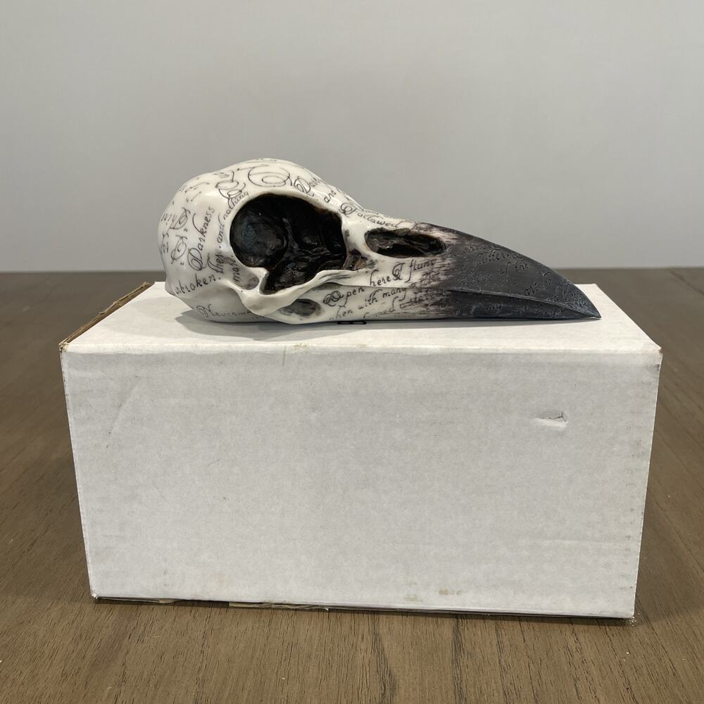 Nemesis Now Edgar's Raven Skull Engraved Scripture Gothic Wicca Ornament 21cm